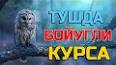 Видео по запросу "тушда укки курса нима булади"