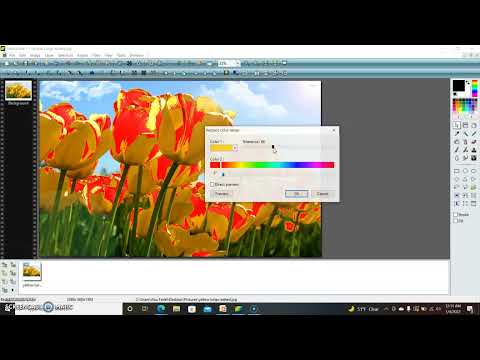 Photofiltre Video Tutorial