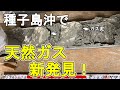 紀伊半島沖でも32億㎥埋蔵！日本は資源貧国から資源大国へ！