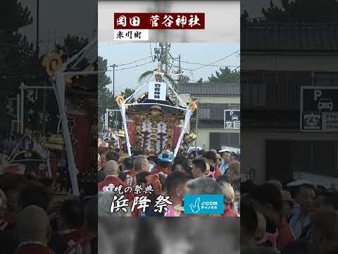 【浜降祭】参加神社 その2 寒川町岡田 菅谷神社#short #菅谷神社