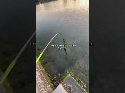 ANYTHING but a fihh 😭 #bassproshops #fihh #fish #fishing #bassfishing by ATW Fishing