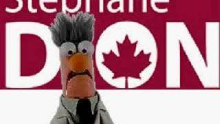 Stephan Dion Responds to Conservative Attack Ads