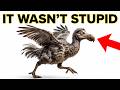 Why the Dodo Was Not Stupid — Science Finally Proved It