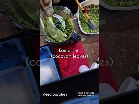 save time using the ninja 3 in 1 food processor