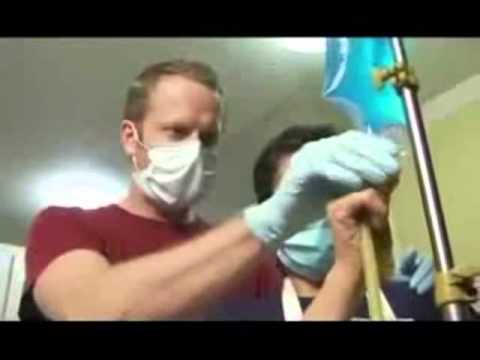 Behind The Formaldehyde Curtain Analysis Essay