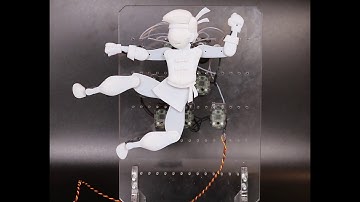 Designing Cable-Driven Actuation Networks for Kinematic Chains and Trees (SCA 2017)