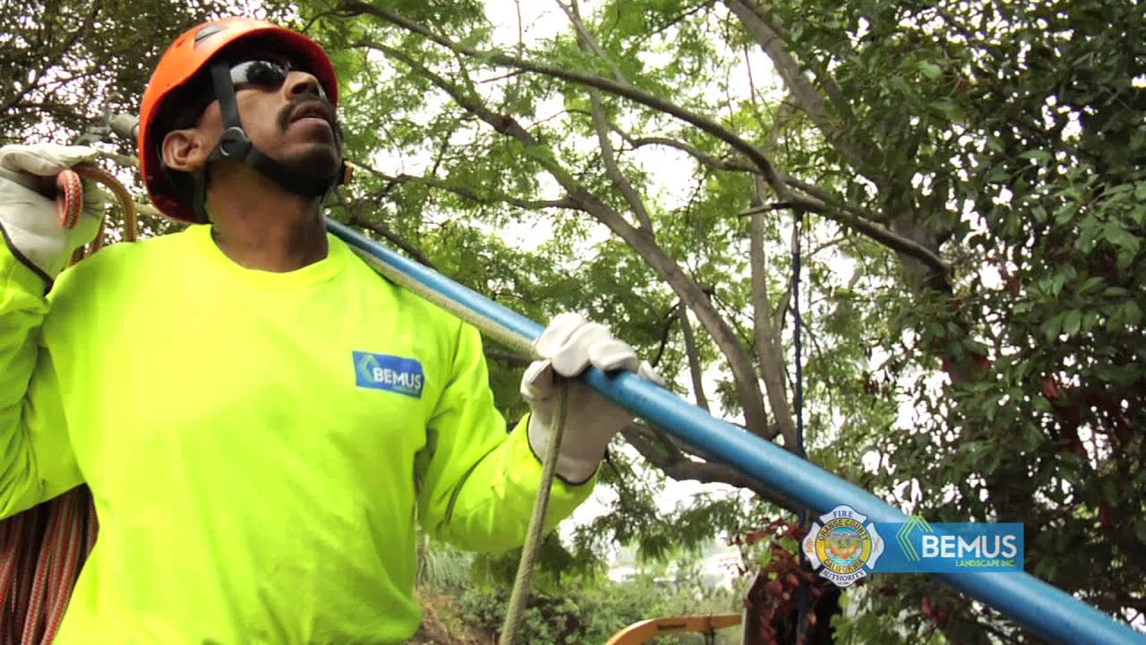 OCFA and Bemus Cowan Heights Landscaping Winner 2 YouTube