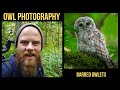Owl Photography - Photographing Barred Owlets in the Forest (British Columbia 2020)