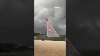 180-foot-tall Christmas tree display collapses, killing 1 person #shorts