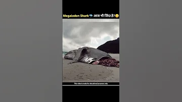 किया Megalodon Shark अभी भी जिंदा है?😳|Proof That Megalodon Still Exist|#shorts #viral