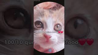 #funny #fypシ゚viral #foryou #nice #nicesong #challenge #avaliando #fotos #livesong #love #nfloppa :3