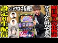 【導入前夜】スマスロ 化物語の設定6をSEVEN'S TVが打つ！