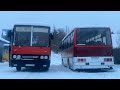 Холодный запуск Икарус 256