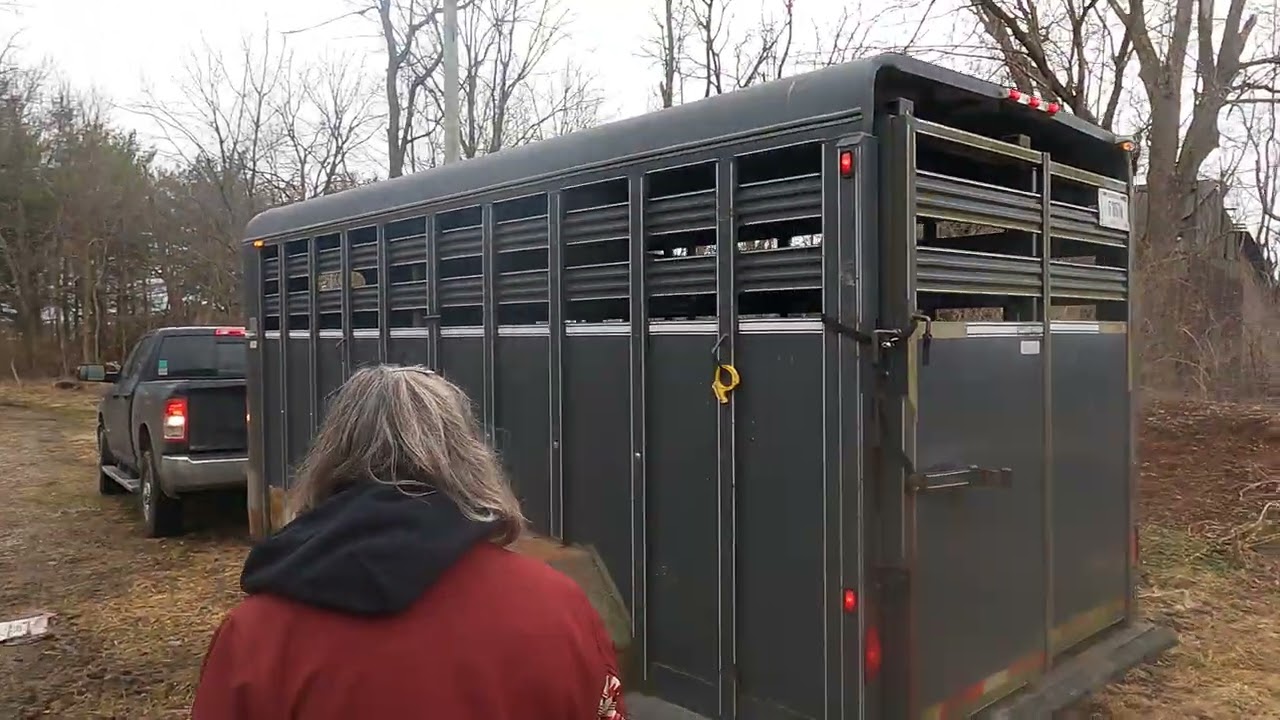 ATV Farms #67 New arrivals 
