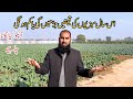 What to grow in december winter crops tunnel farming profitable farimg ir farms