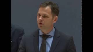 Sinisa Mali - Mrtvo Zelenilo Nama Treba