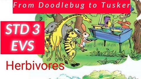 Kerala Syllabus,Environmental Science (3), From Doodle bug to Tusker