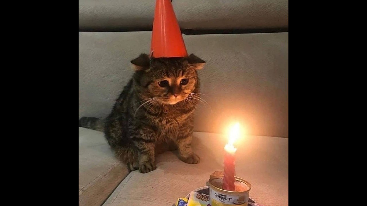 День Рождения