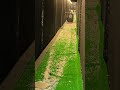 2024年9月17日
