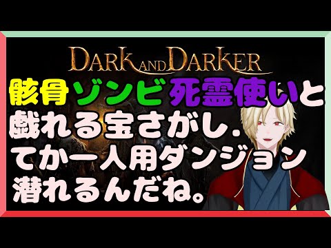 [Dark and Darker]もういいよ高級装備見つけてやんよ！[Vtuber実況]