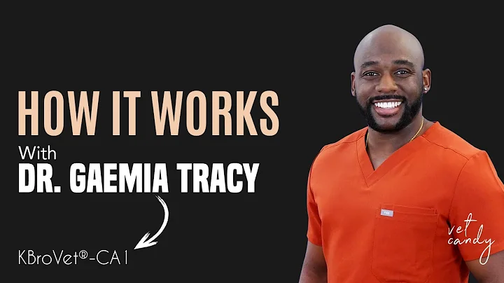 Dr. Gaemia Tracey, vet neurologist, sheds light on KBroVet®–CA1