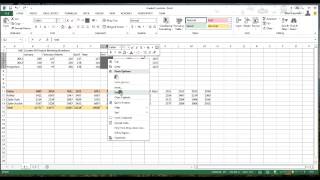 Adding, Deleting and Hiding Rows and Columns