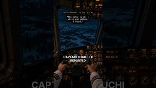 A 747 Captain Radioed: 'In Formation' — JAL 1628, Alaska 1986