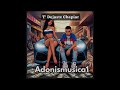 T' Dejaste Chapiar - Adonis Sena (Audio Oficial)