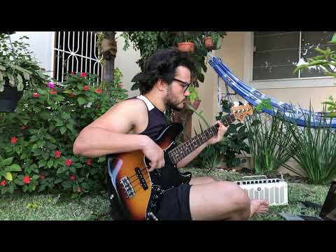 Todo Homem - Zeca Veloso (Bass cover)