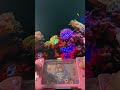 Ms Melody Water Gamebot #gaming #squidgame #satisfyingvideo #satisfying #toys