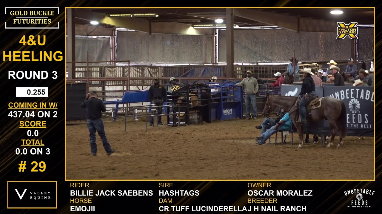 Золотая пряжка Futurity «Весенняя битва»