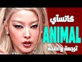 'انها كحيوان جامح' أغنية كاتسآي الجديدة | KATSEYE - ANIMAL (Lyrics) مترجمة 