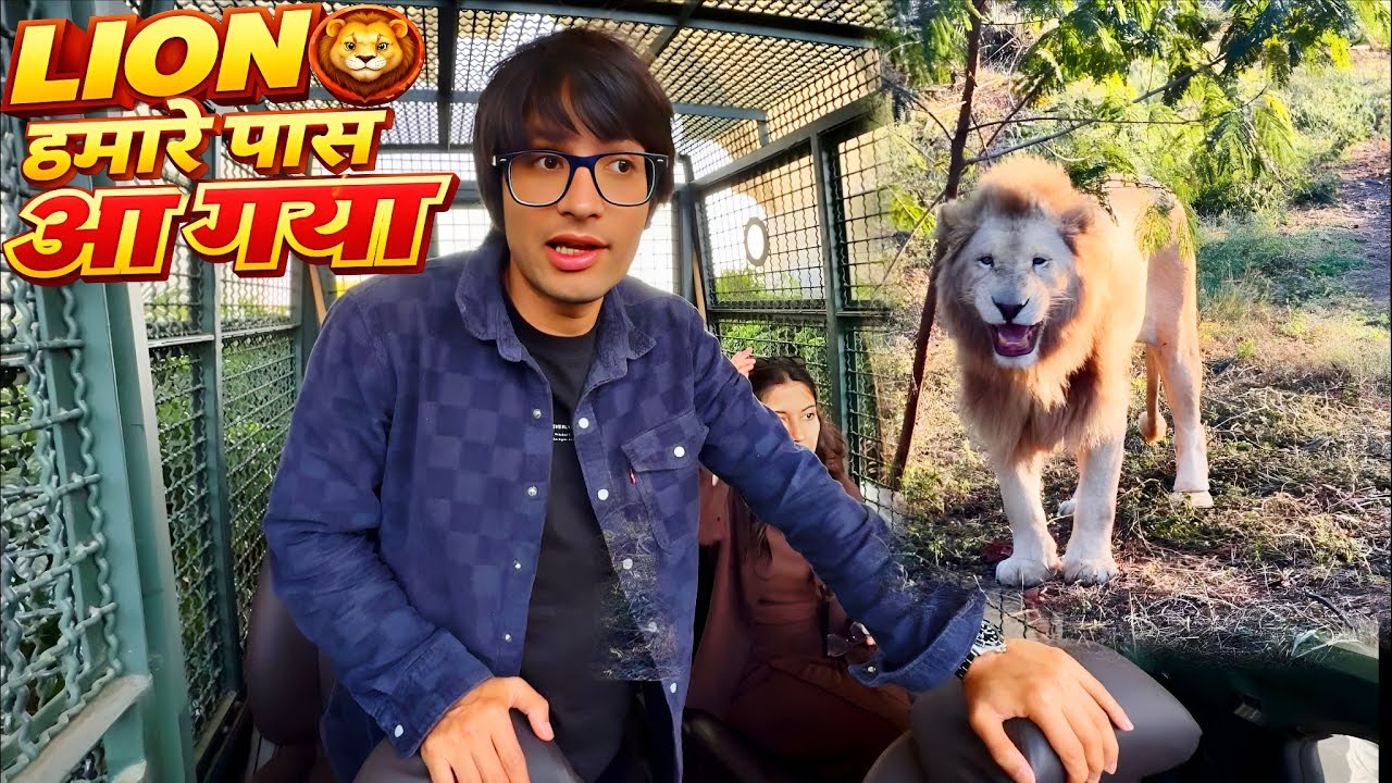  Lion Hamare Paas Aagya 😲 | Sourav Joshi Vlogs | @souravjvlogs 