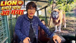 Lion Hamare Paas Aagya 😲 | Sourav Joshi Vlogs | @souravjvlogs screenshot 5