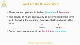 Arabic Noun Genders & Changing From Masculine to Feminine Forms | Nouns And Adjectives Lesson #2 screenshot 4