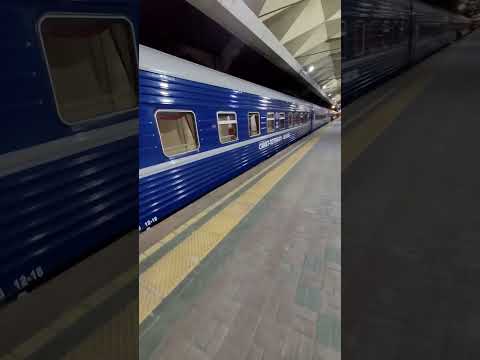 Скорый поезд 3/4 Москва- Санкт Петербург. Март 2023. #travel #ржд #поезд