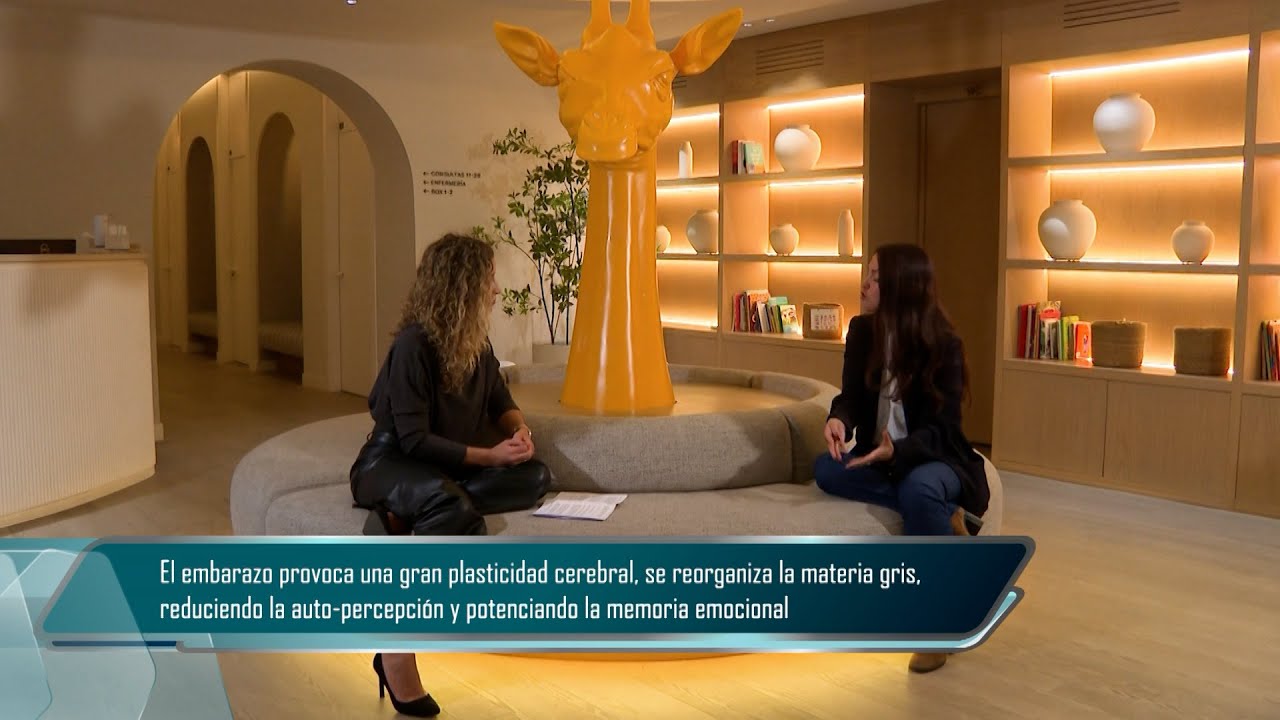 T6/E19: Salud Perinatal