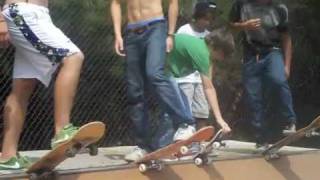 SHREDDIN' THE GNAR