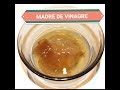 MADRES DE VINAGRE (Natas madres)