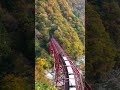 宇奈月温泉の絶景トロッコ電車 #shorts