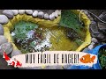 COMO HACER UN ESTANQUE PARA PECES BARATO (EN 2 DÍAS!!!) 🐠🐟