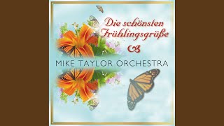 Sunshine Express - Mike Taylor Orchestra