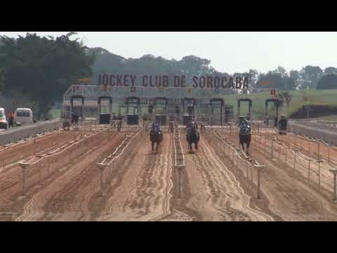 Vídeo: GP Taça de Bronze