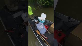 Catching cat fish on limb lines #fishing #boat #fypシ #camping #catfish #catfishing #outdoors