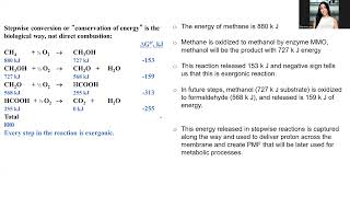Unit 6 Bioenergetic Lecture 1 Fall 2024