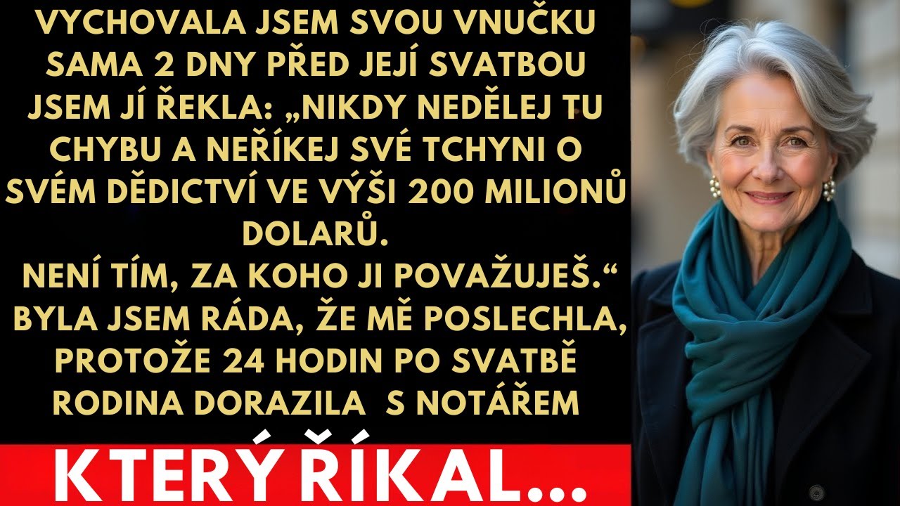 Řekla jsem jí: „Nikdy neříkej své tchyni o těch 200 milionech dolarů.“24 hodin po svatbě přišli s…
