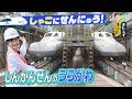 【激レア】新幹線の運転席に潜入&音で判別!?驚きの車体検査方法!! 電車はかせと新幹線の裏側を徹底調査【いろりろ公式】