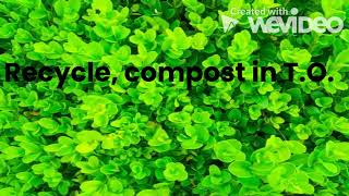 Recycling and Composting in Toronto!