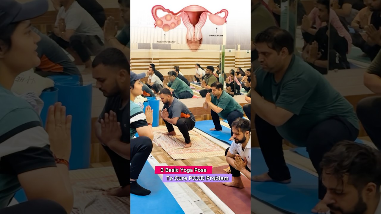 Solve PCOD Problem #pcod #pcos #yoga #yogi #pcodproblem #pcodweightloss ...