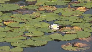 Jasper County, fastest-growing county in the nation